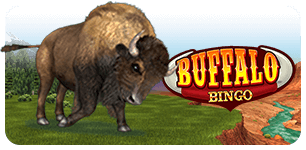 Buffalo