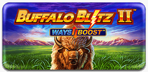 Buffalo Blitz 2