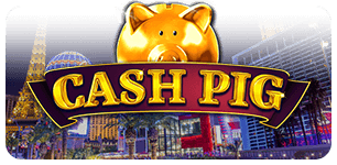 Cash Pig