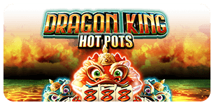 Dragon King Hot Pots