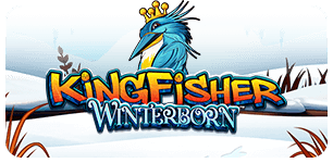 Kingfisher Winterborn