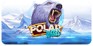 Polar Wilds