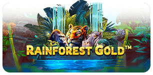 Rainforest Gold