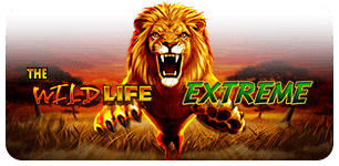 The Wild Life Extreme