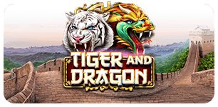 Tiger and Dragon